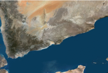 175430544491efdc6a69